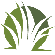 TJs Lawn Dethatching