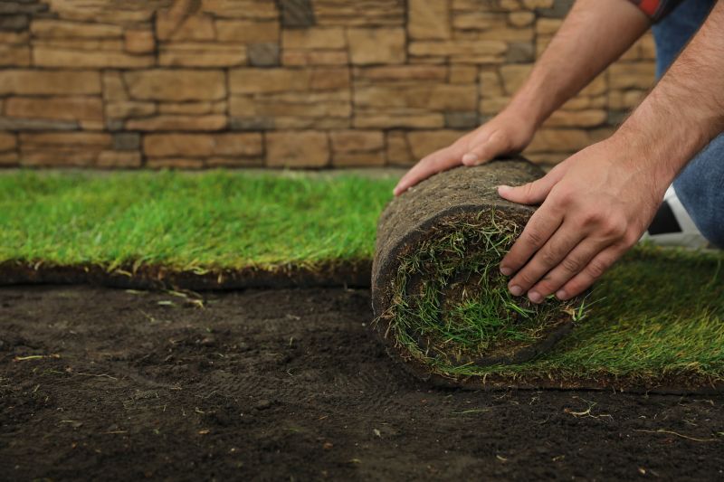 Fescue Sod Installation in Rockwall, TX