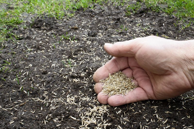 Lawn Reseeding Service in Honolulu, HI