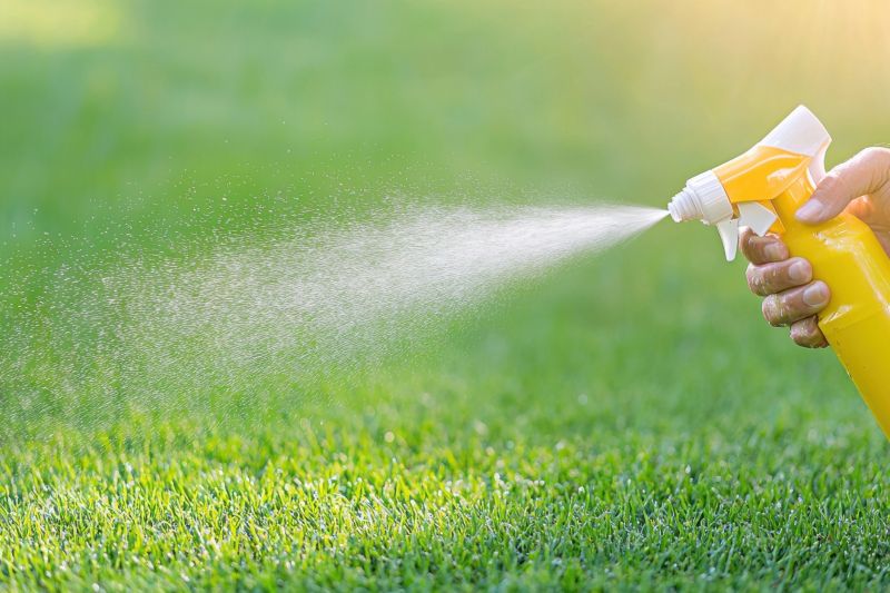 Slope Weed Control in Honolulu, HI