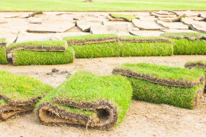 Sod Replacement in Aiken, SC