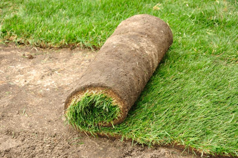 Bahia Sod Installation in Ventura County, CA