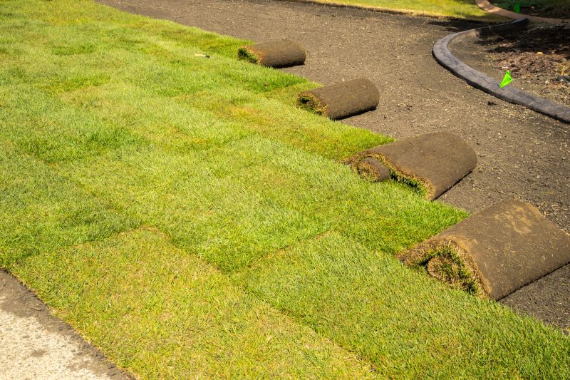Bermuda Grass Installation in Honolulu, HI