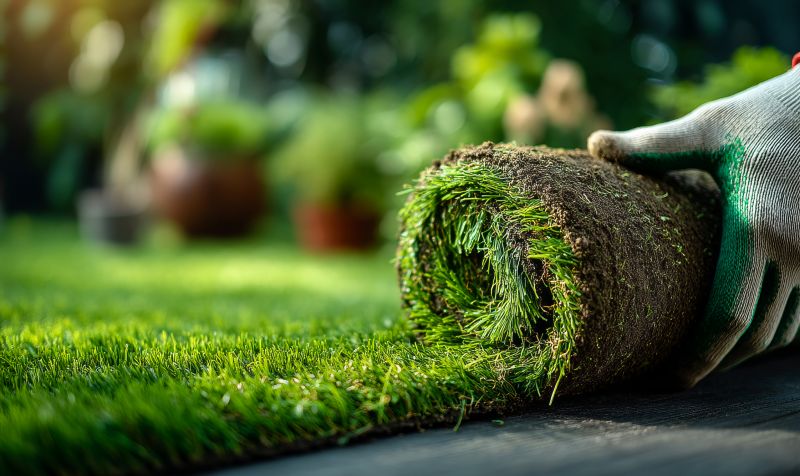 Commercial Sodding in Ventura County, CA