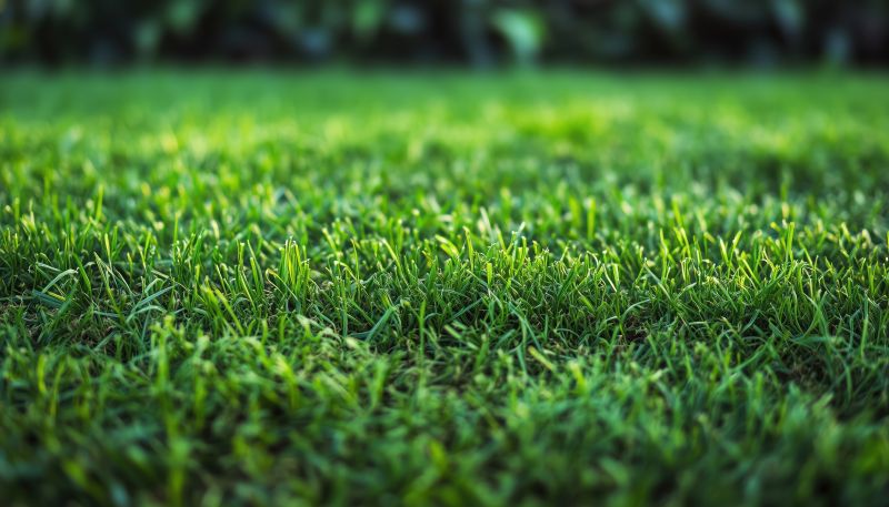 Grass Installation in Rockwall, TX