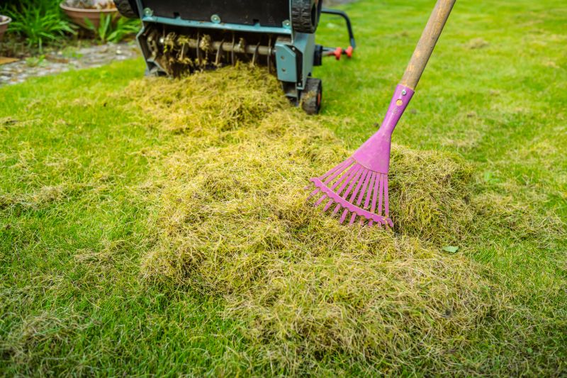 Early Spring Dethatching