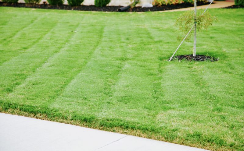 Lawn Installation in Honolulu, HI