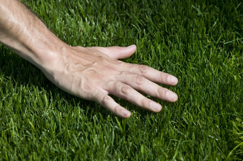 Lawn Installation in Aiken, SC