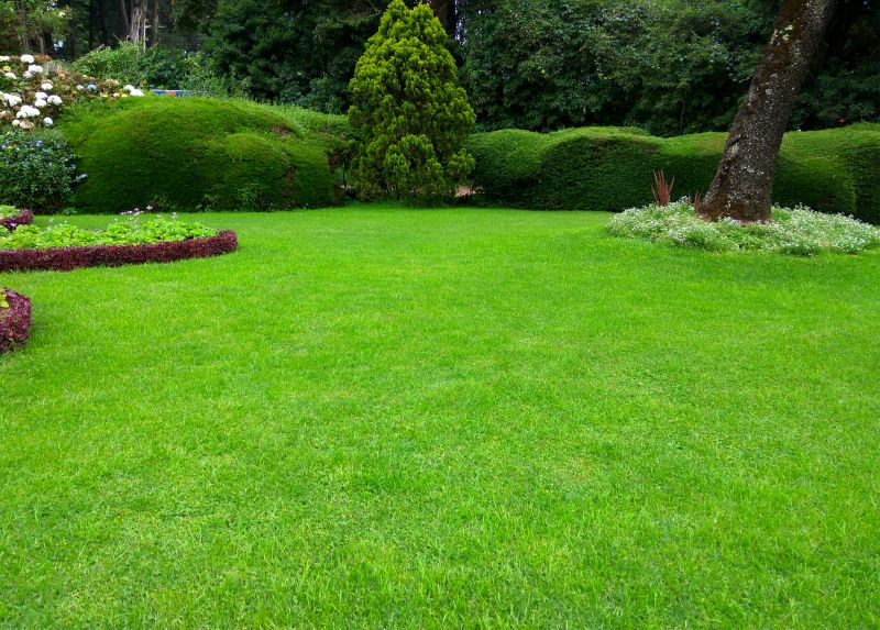 Lawn Replacement in Aiken, SC