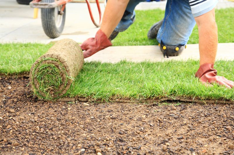 Lawn Sodding in Aiken, SC