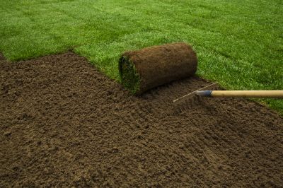 Sod Installation in Honolulu, HI