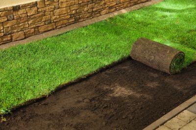 Sod Installation in Honolulu, HI