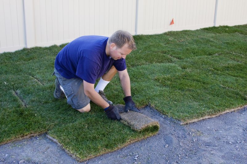 Sod Landscaping in Ventura County, CA
