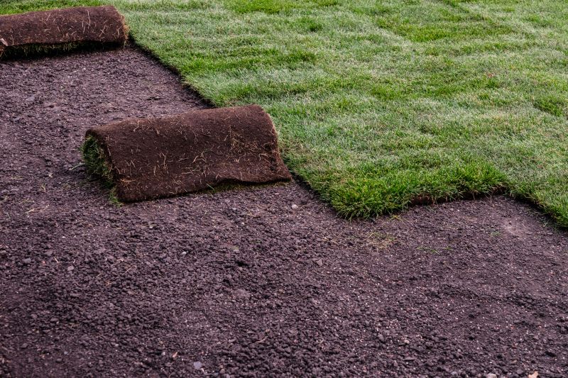 Sod Landscaping in Honolulu, HI