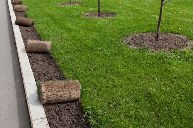 Sod Landscaping in Rockwall, TX