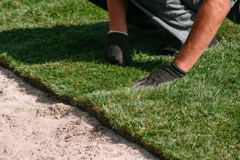 Turfing Service in Rockwall, TX