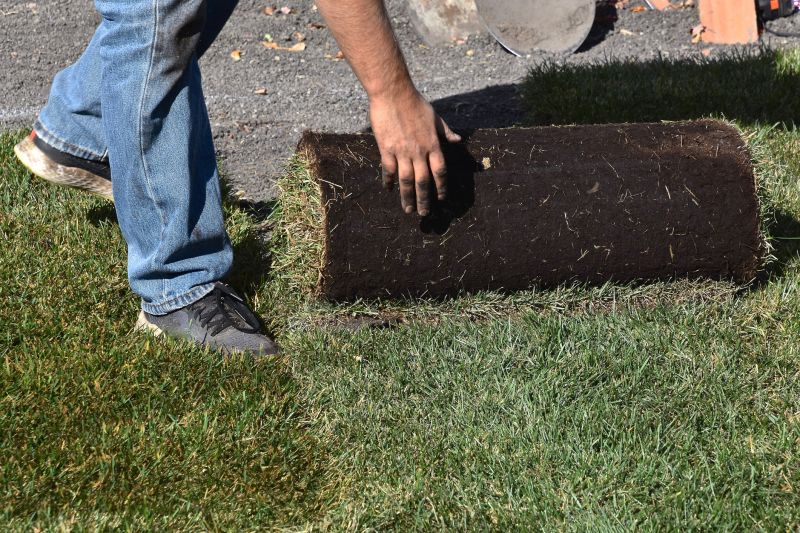 Yard Sod Replacement in Honolulu, HI