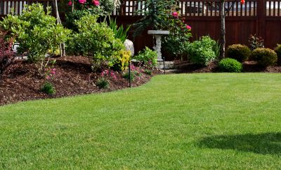 Zoysia Grass Installation in Ventura County, CA