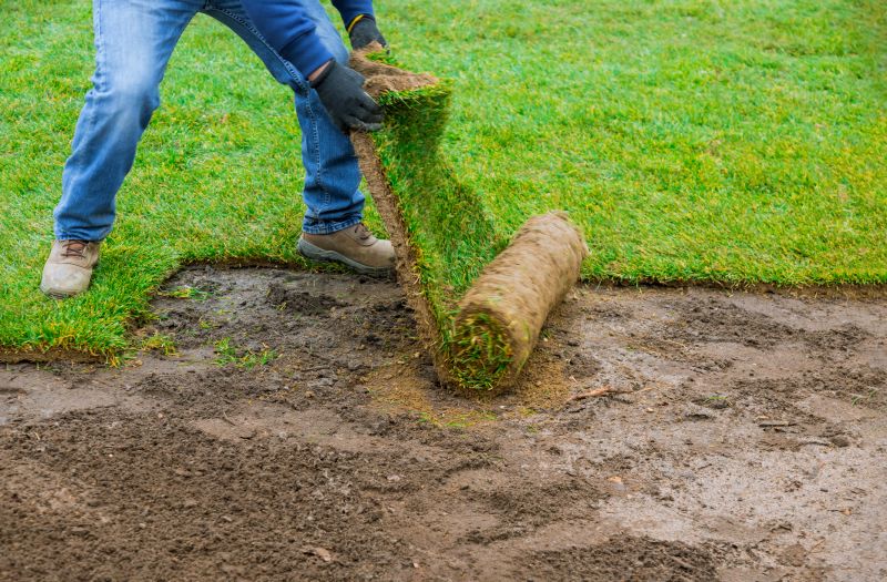 Zoysia Grass Installation in Rockwall, TX