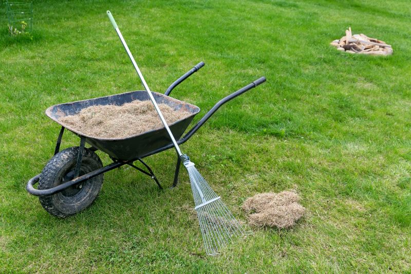 Improves Lawn Health