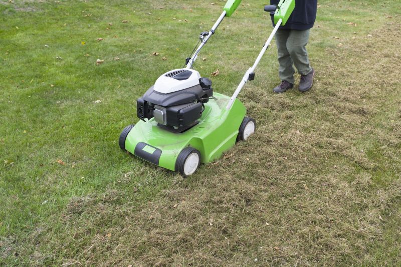 Improves Lawn Appearance